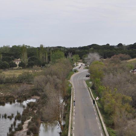 Vacances En Camargue Proche De La Mer Climatise إج مورت المظهر الخارجي الصورة