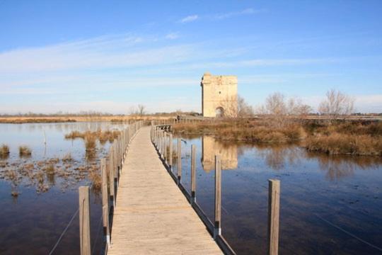 Vacances En Camargue Proche De La Mer Climatise إج مورت المظهر الخارجي الصورة
