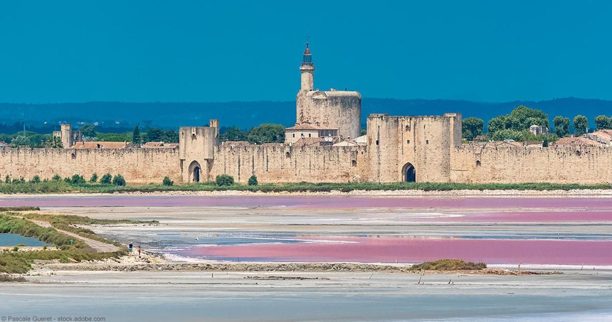 Vacances En Camargue Proche De La Mer Climatise إج مورت المظهر الخارجي الصورة
