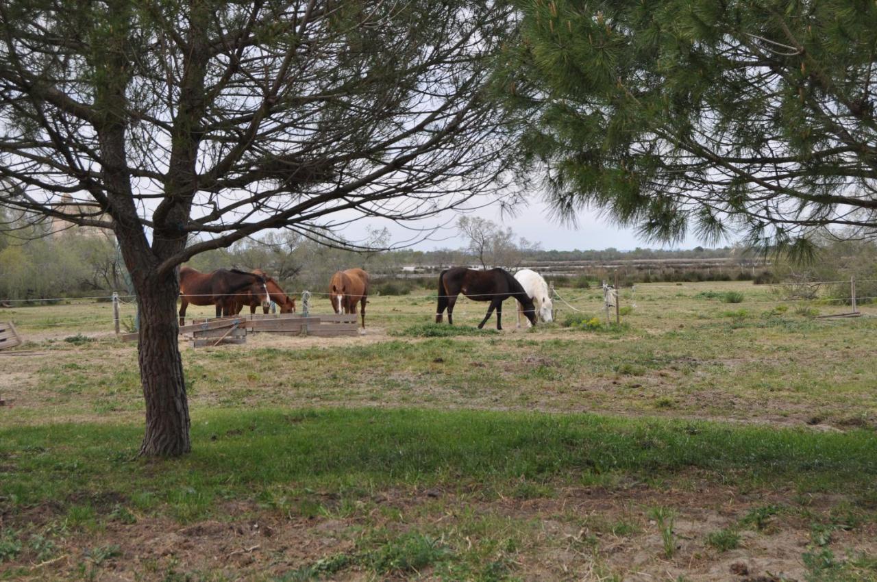 Vacances En Camargue Proche De La Mer Climatise إج مورت المظهر الخارجي الصورة